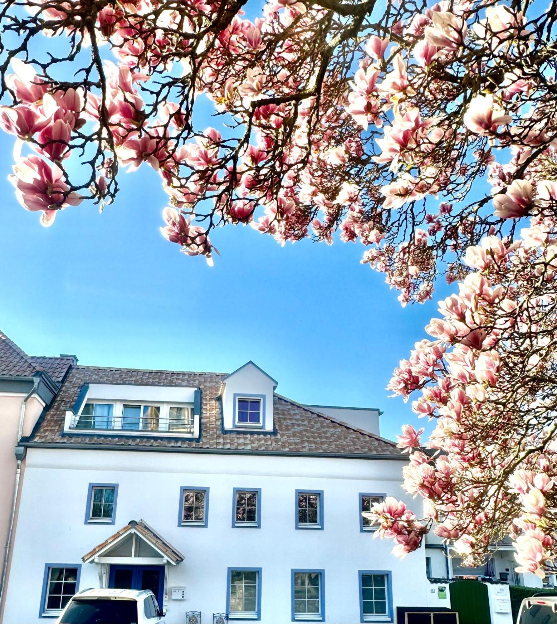 Charmantes Haus Naehe Bonn Koeln Messe Phantasialand Bornheim  Exteriér fotografie